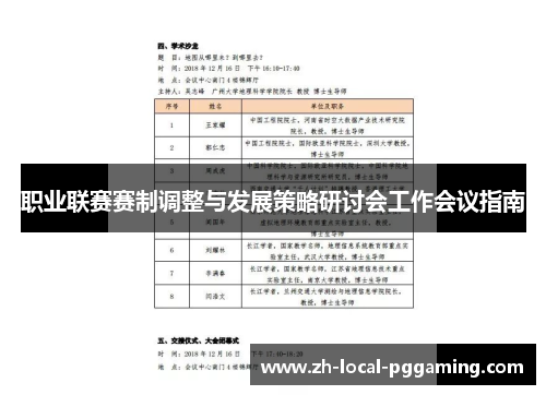 职业联赛赛制调整与发展策略研讨会工作会议指南 职业联赛赛制调整与发展策略研讨会工作会议指南