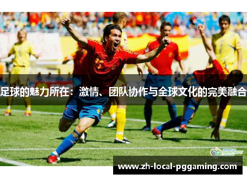 足球的魅力所在：激情、团队协作与全球文化的完美融合
