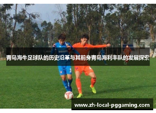 青岛海牛足球队的历史沿革与其前身青岛海利丰队的发展探索 青岛海牛足球队的历史沿革与其前身青岛海利丰队的发展探索